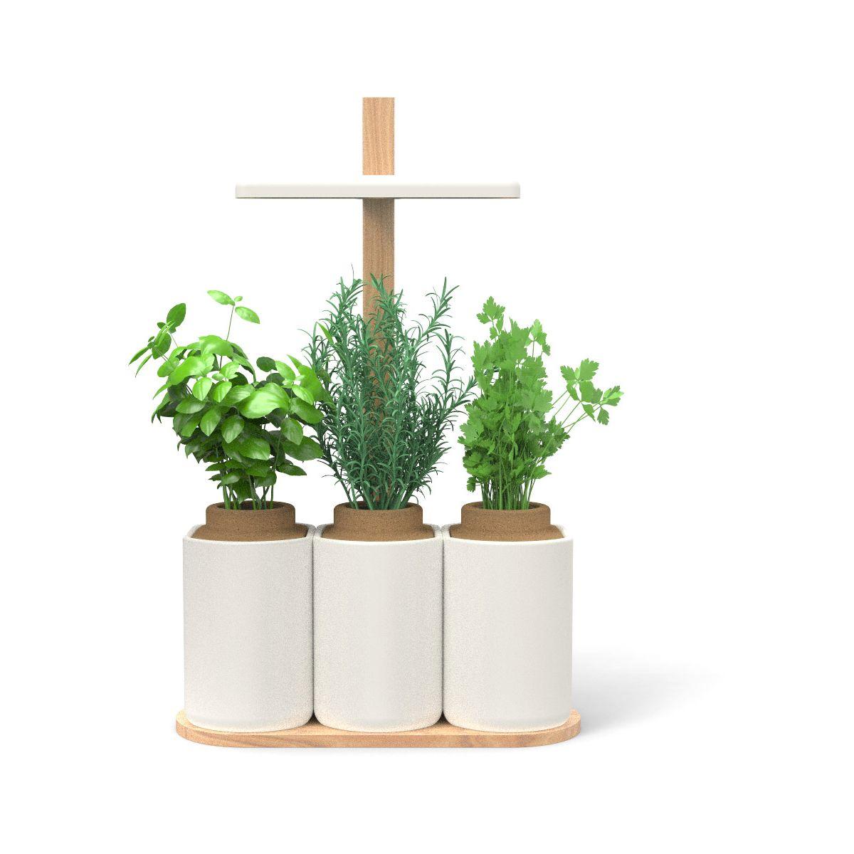 Jardin d'int�rieur pret a pousser smart lilo - livraison offerte : code liv (photo) Jardin d'int�rieur pret a pousser smart lilo - livraison offerte : code liv (photo)