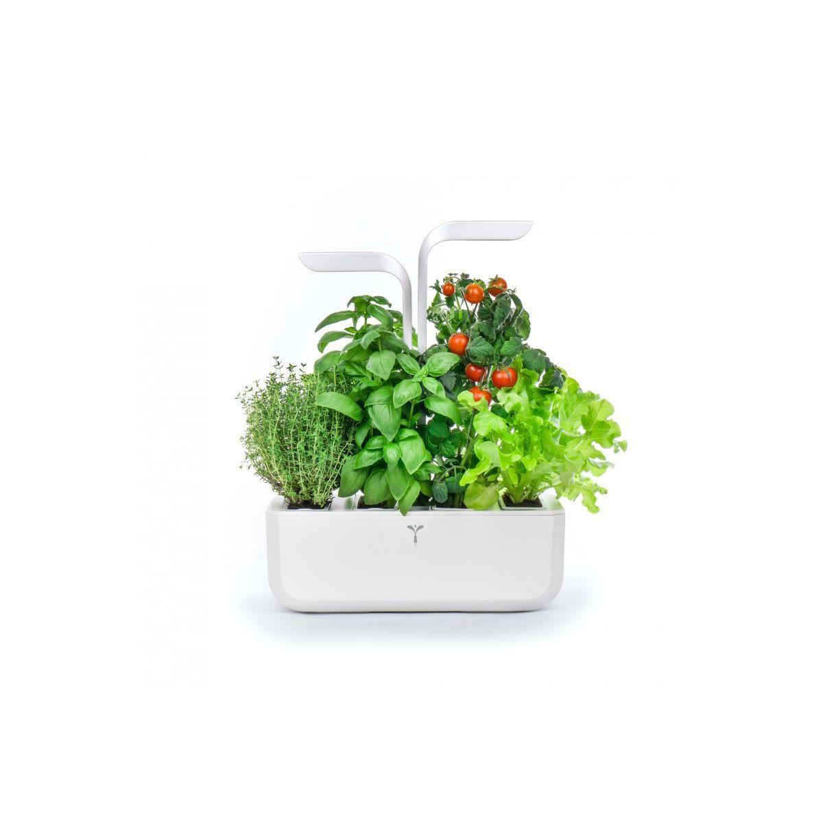 Jardin d'int�rieur veritable classic blanc - livraison offerte : code liv (photo) Jardin d'int�rieur veritable classic blanc - livraison offerte : code liv (photo)
