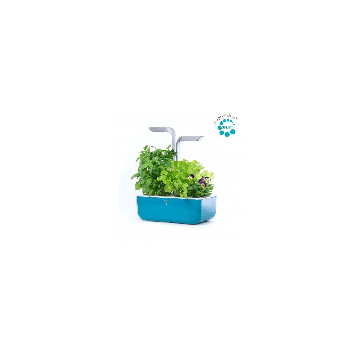 Jardin d'int�rieur veritable smart teal blue - 15% de remise imm�diate avec le code : priv15 (photo) Jardin d'int�rieur veritable smart teal blue - 15% de remise imm�diate avec le code : priv15 (photo)