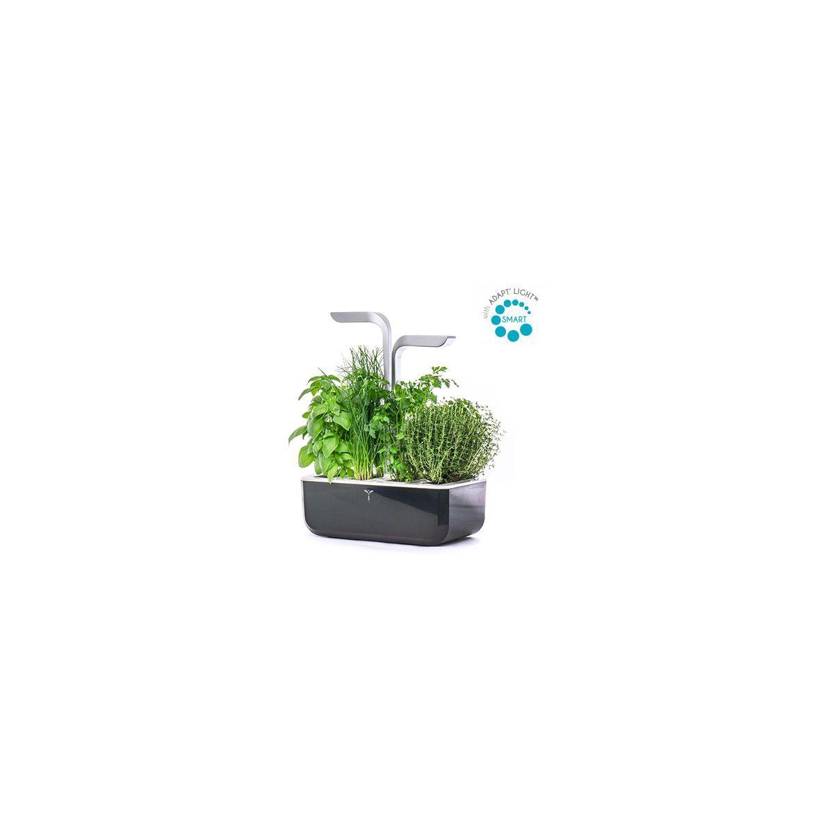 Jardin d'int�rieur veritable smart soft black - 15% de remise imm�diate avec le code : priv15 (photo) Jardin d'int�rieur veritable smart soft black - 15% de remise imm�diate avec le code : priv15 (photo)