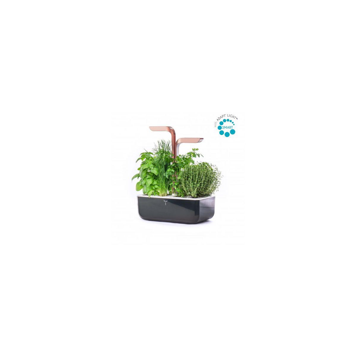 Jardin d'int�rieur veritable smart copper - 20% de remise imm�diate avec le code : priv20 (photo) Jardin d'int�rieur veritable smart copper - 20% de remise imm�diate avec le code : priv20 (photo)