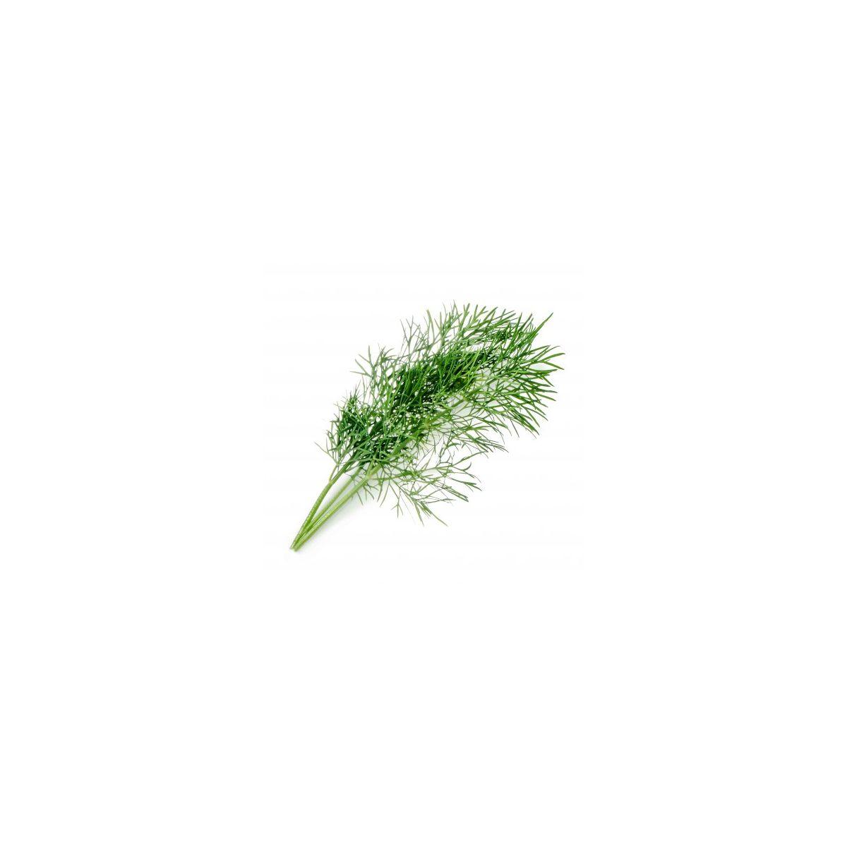 Recharge veritable aneth bio - 10% de remise imm�diate avec le code : priv10 (photo) Recharge veritable aneth bio - 10% de remise imm�diate avec le code : priv10 (photo)