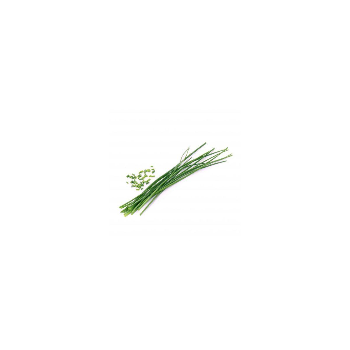 Recharge veritable ciboulette bio (photo) Recharge veritable ciboulette bio (photo)