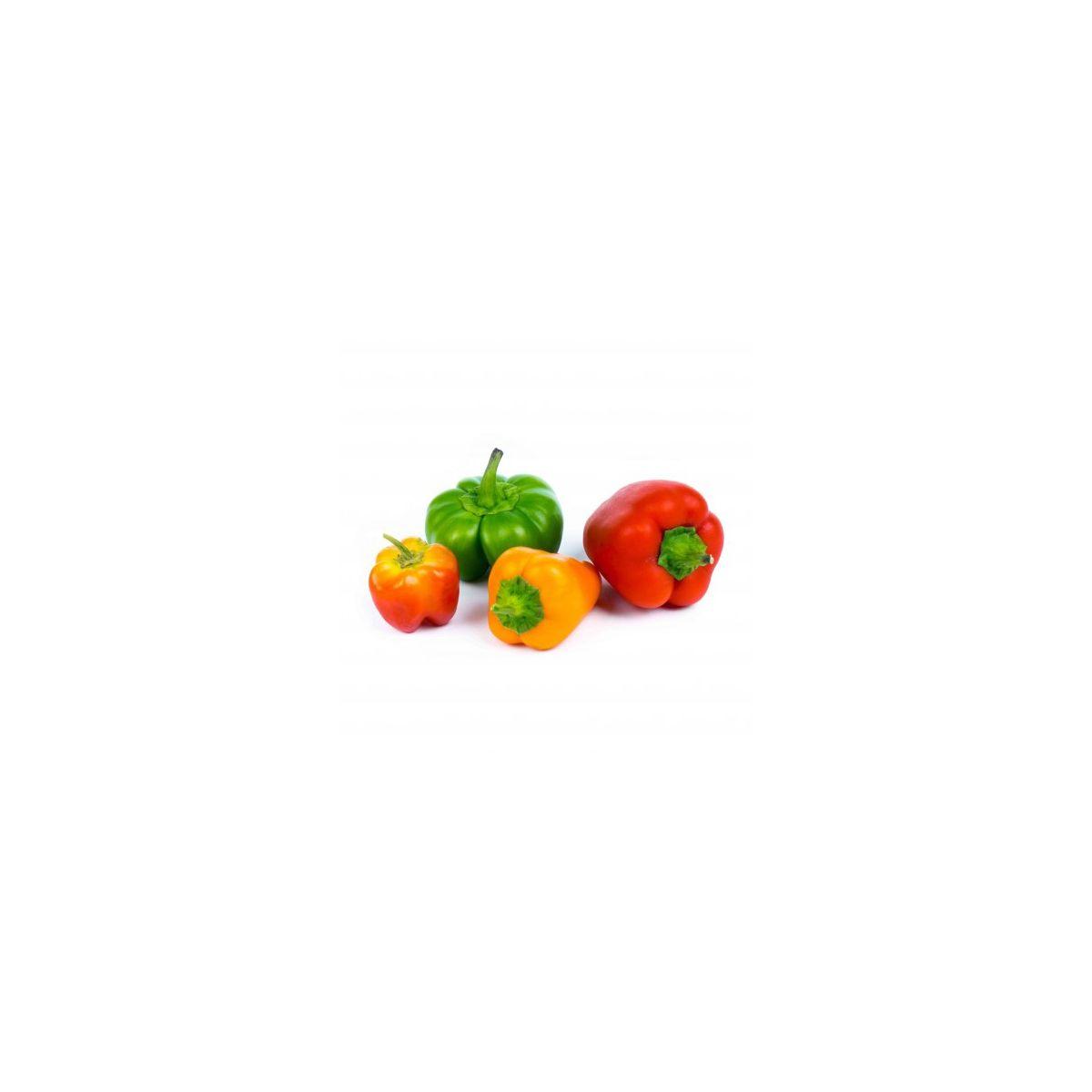 Recharge veritable mini poivrons (photo) Recharge veritable mini poivrons (photo)