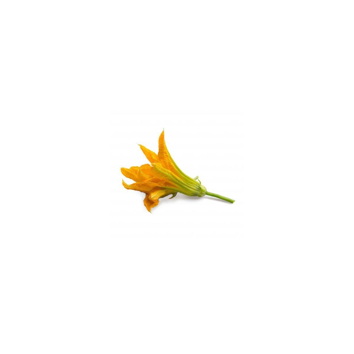 Recharge veritable fleurs de courgette - 10% de remise imm�diate avec le code : automne10 (photo) Recharge veritable fleurs de courgette - 10% de remise imm�diate avec le code : automne10 (photo)