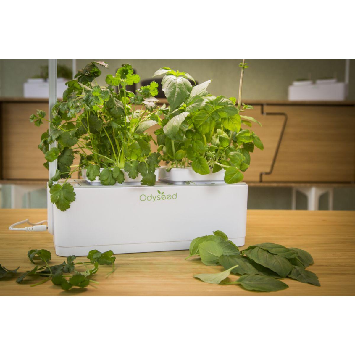 Jardin d'int�rieur odyseed eden - livraison offerte : code liv (photo) Jardin d'int�rieur odyseed eden - livraison offerte : code liv (photo)