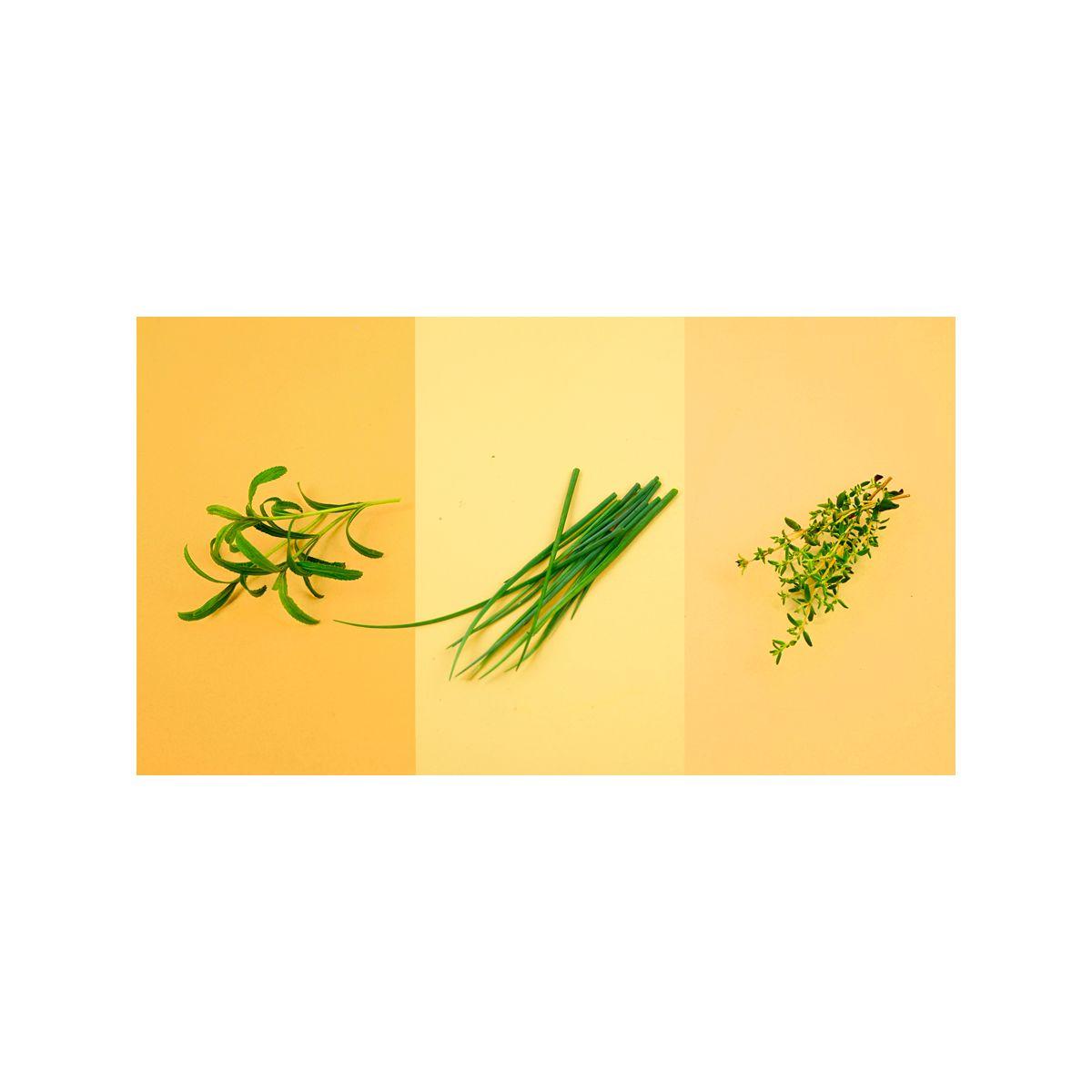 Recharge pret a pousser pack sp�cial barbecue (photo) Recharge pret a pousser pack sp�cial barbecue (photo)