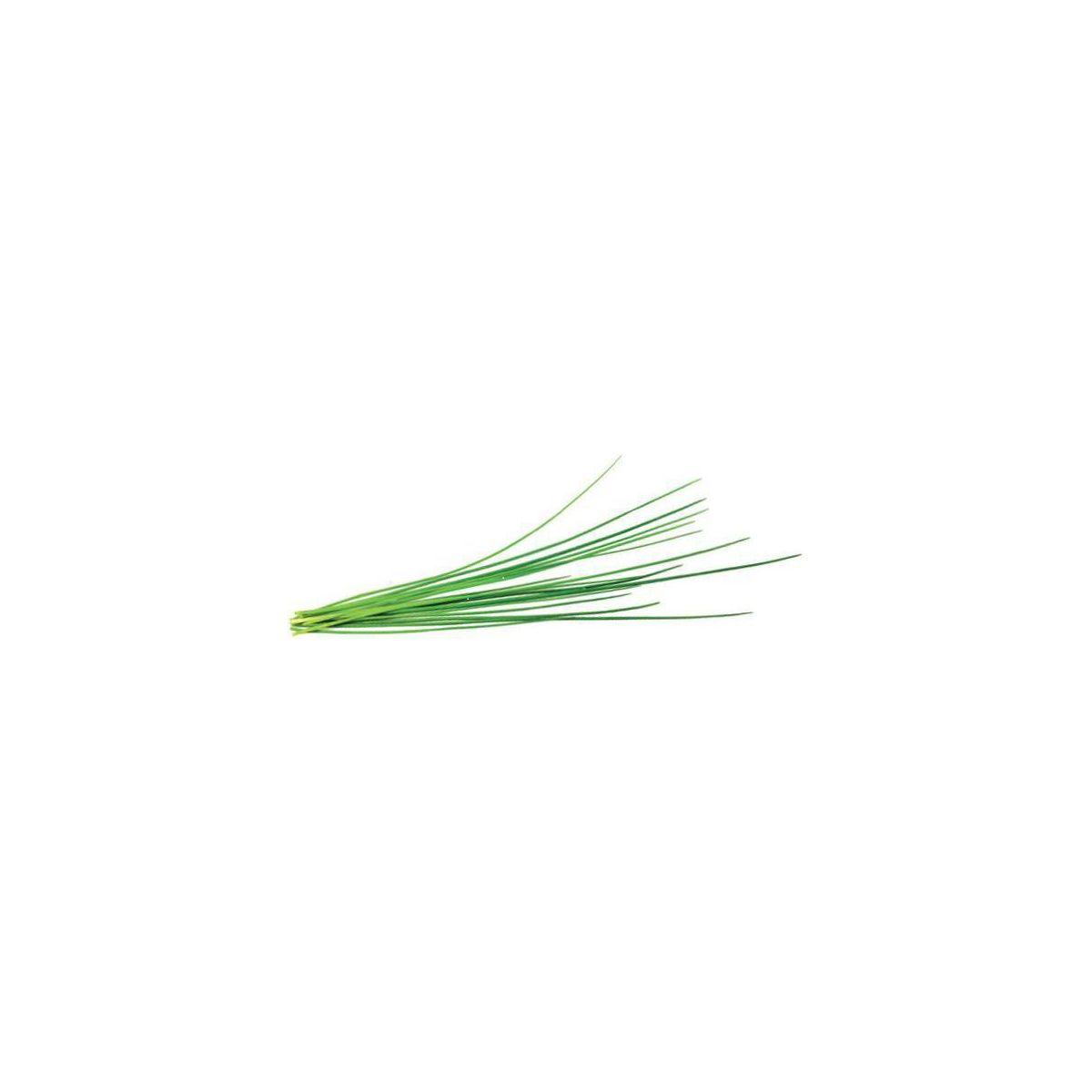 Recharge jardin int�rieur click and grow ciboulette lot de 3 (photo) Recharge jardin int�rieur click and grow ciboulette lot de 3 (photo)
