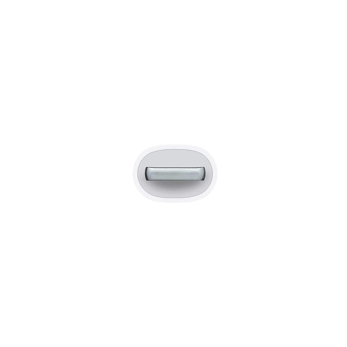 Adaptateur apple lightning vers 30 broches (0.2m) (photo) Adaptateur apple lightning vers 30 broches (0.2m) (photo)