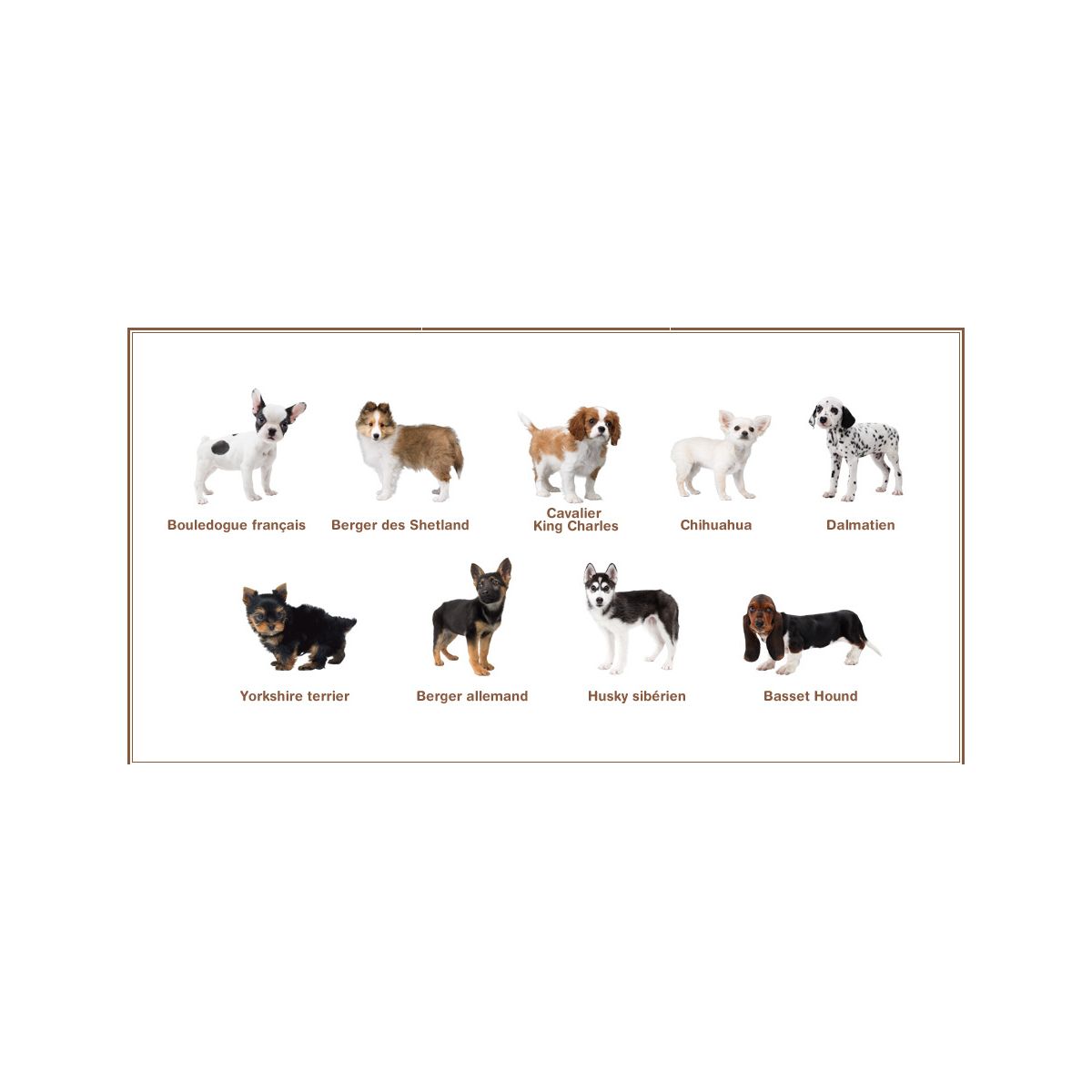 Jeu 3ds nintendo nintendogs bouledogue selects - 2% de remise imm�diate avec le code : deal2 (photo) Jeu 3ds nintendo nintendogs bouledogue selects - 2% de remise imm�diate avec le code : deal2 (photo)