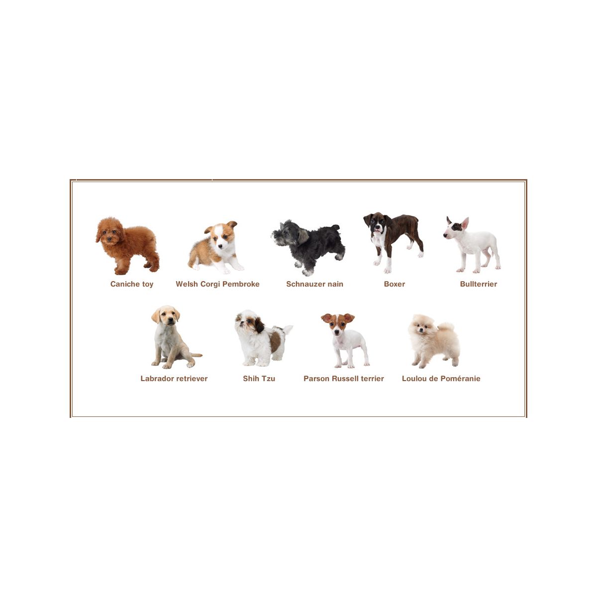 Jeu 3ds nintendo nintendogs + cats caniche - 2% de remise immédiate avec le code : cool2 (photo) Jeu 3ds nintendo nintendogs + cats caniche - 2% de remise immédiate avec le code : cool2 (photo)
