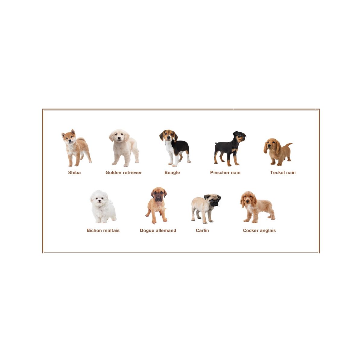 Jeu 3ds nintendo nintendogs golden retriever selects (photo) Jeu 3ds nintendo nintendogs golden retriever selects (photo)