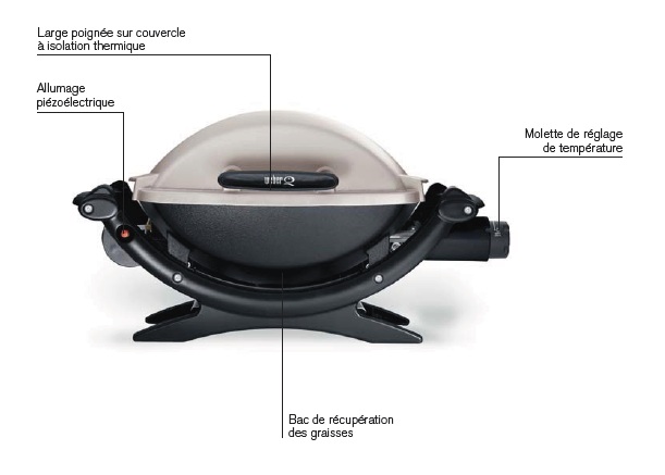 Autres accessoires Plancha en fonte pour Weber Q série 2000 WEBER  